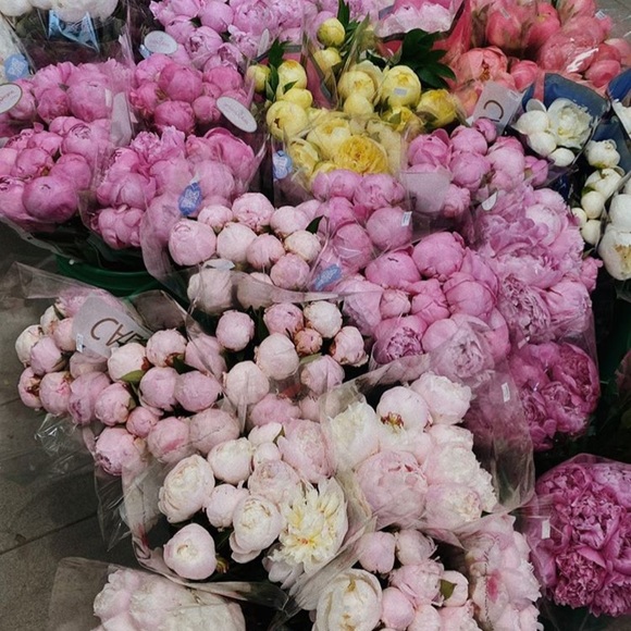 FEEL FREE TO SEND OFFERS - Picture 1 of 1